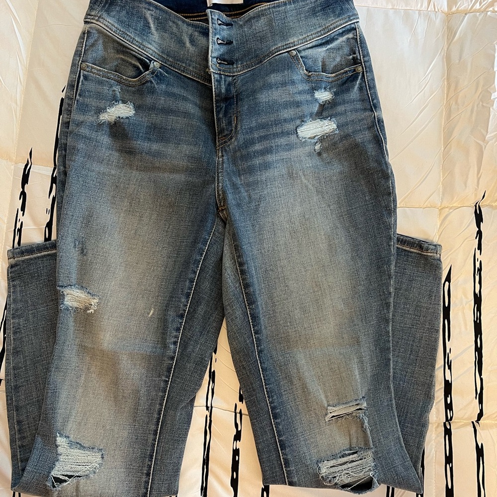 Lane Bryant Distressed Skinny Jeans
